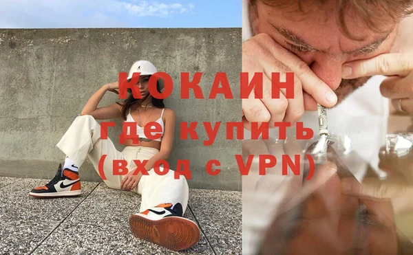 дживик Каменка